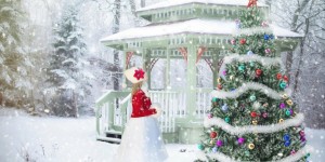 Beitragsbild des Blogbeitrags Weihnachtsspecial#24 2019