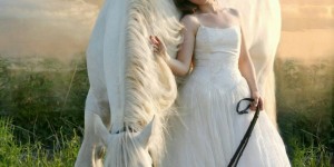 Beitragsbild des Blogbeitrags Worte der Weisheit#734