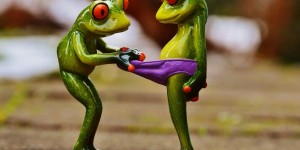 Beitragsbild des Blogbeitrags Worte der Weisheit#747