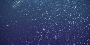 Beitragsbild des Blogbeitrags Kurzgeschichten#4