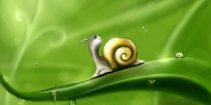 Beitragsbild des Blogbeitrags Worte der Weisheit#715