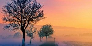 Beitragsbild des Blogbeitrags Worte der Weisheit#717 
