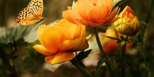 Beitragsbild des Blogbeitrags Worte der Weisheit#747