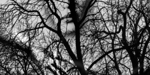 Beitragsbild des Blogbeitrags Worte der Weisheit#750