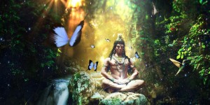Beitragsbild des Blogbeitrags Worte der Weisheit#764