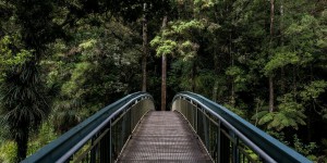 Beitragsbild des Blogbeitrags Worte der Weisheit#765