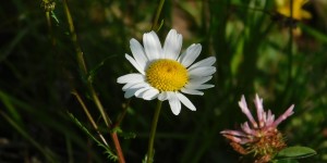 Beitragsbild des Blogbeitrags Wieder einmal ein paar Fotos