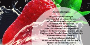 Beitragsbild des Blogbeitrags Sinnlich Fragaria  