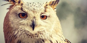 Beitragsbild des Blogbeitrags Sich selbst im Wege stehen
