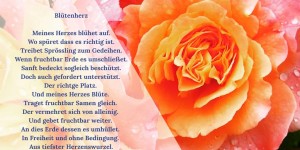 Beitragsbild des Blogbeitrags Blütenherz