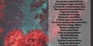 Beitragsbild des Blogbeitrags Herzbaumwurzel