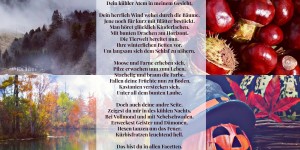 Beitragsbild des Blogbeitrags Herbstgeist 