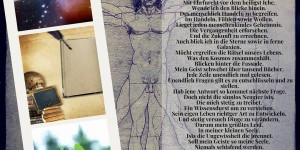 Beitragsbild des Blogbeitrags Lebensschule