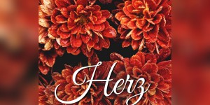 Beitragsbild des Blogbeitrags Buchrezension#70 Herzschreiberei