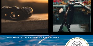 Beitragsbild des Blogbeitrags Die Montagslyriker – Diana Scherer – Sternenlyrik