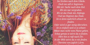 Beitragsbild des Blogbeitrags Auf der Suche