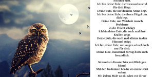 Beitragsbild des Blogbeitrags Deine Eule