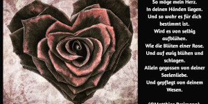 Beitragsbild des Blogbeitrags Blühend Herz