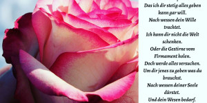 Beitragsbild des Blogbeitrags Das was du brauchst