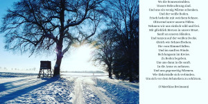Beitragsbild des Blogbeitrags Tanzen wie Schneeflocken