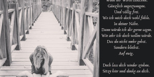 Beitragsbild des Blogbeitrags Auf ewig