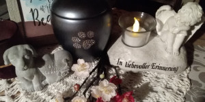 Beitragsbild des Blogbeitrags Kleiner Endbericht 