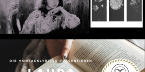 Beitragsbild des Blogbeitrags Die Montagslyriker – Laura (feelize)