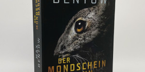 Beitragsbild des Blogbeitrags Buchrezension#81 – Der Mondscheinmann