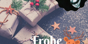 Beitragsbild des Blogbeitrags Frohe Weihnachten