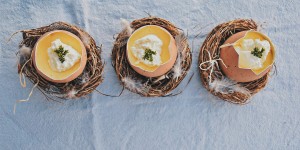 Beitragsbild des Blogbeitrags feine Bio Zitronencreme