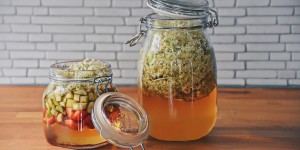 Beitragsbild des Blogbeitrags Bio Holunderblütenessig (mit Rhabarber und Erdbeeren)