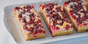Beitragsbild des Blogbeitrags Bio Ribisel Topfen Kuchen