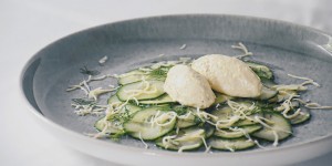 Beitragsbild des Blogbeitrags Bio Saiblingsmousse auf Bio Gurkensalat
