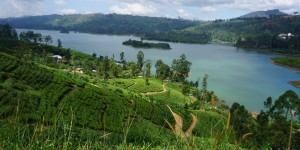 Beitragsbild des Blogbeitrags Sri Lanka