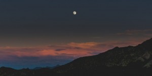 Beitragsbild des Blogbeitrags USA South East