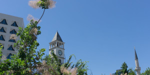 Beitragsbild des Blogbeitrags Tirana 
