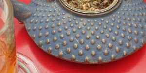 Beitragsbild des Blogbeitrags Zwangspause 