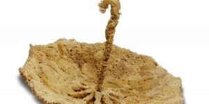 Beitragsbild des Blogbeitrags Wolfgang Paalen – Der einzige österreichische Surrealist 