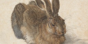Beitragsbild des Blogbeitrags Capodanno a Vienna: Le più belle mostre