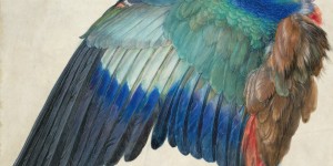 Beitragsbild des Blogbeitrags Dürer verleiht Flügel