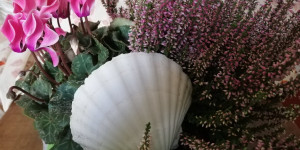 Beitragsbild des Blogbeitrags 5 Jahre Pflege und Kunst
