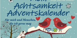 Beitragsbild des Blogbeitrags Aus dem Bücherkasten (Achtsamkeit Adventkalender) 