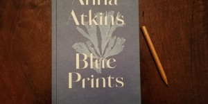 Beitragsbild des Blogbeitrags Aus dem Bücherkasten (Blue Prints)