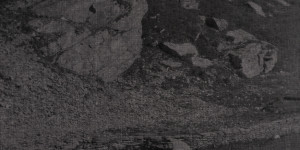 Beitragsbild des Blogbeitrags Aus dem Bücherkasten (Auftritt der Frauen)