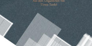 Beitragsbild des Blogbeitrags Aus dem Bücherkasten (Die Großwäscherei)