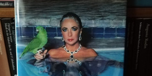 Beitragsbild des Blogbeitrags Helmut Newton – Publikation und Ausstellung