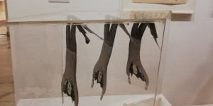 Beitragsbild des Blogbeitrags Kiki Kogelniks Welt im Kunstforum