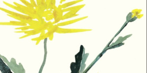 Beitragsbild des Blogbeitrags Aus dem Bücherkasten (Oben Erde, unten Himmel)