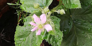Beitragsbild des Blogbeitrags Die Natur genießen!