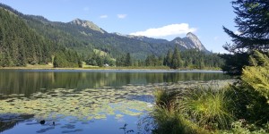 Beitragsbild des Blogbeitrags Sommer 2017